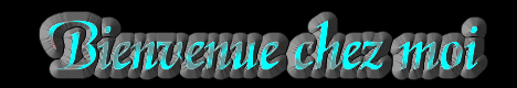 bienvenue